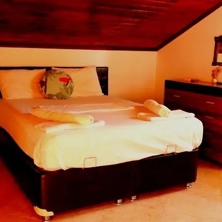 Homes 5